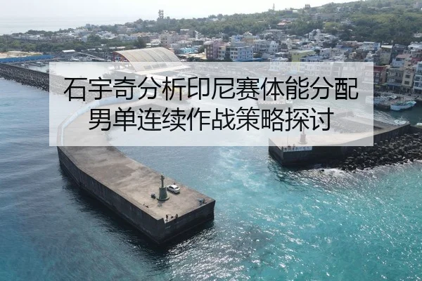 石宇奇分析印尼赛体能分配 男单连续作战策略探讨